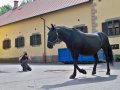 Zodiacon 2012 290.jpg